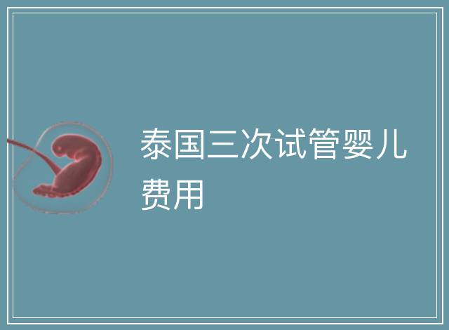 泰國三次試管嬰兒費(fèi)用