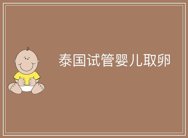 泰國試管嬰兒取卵