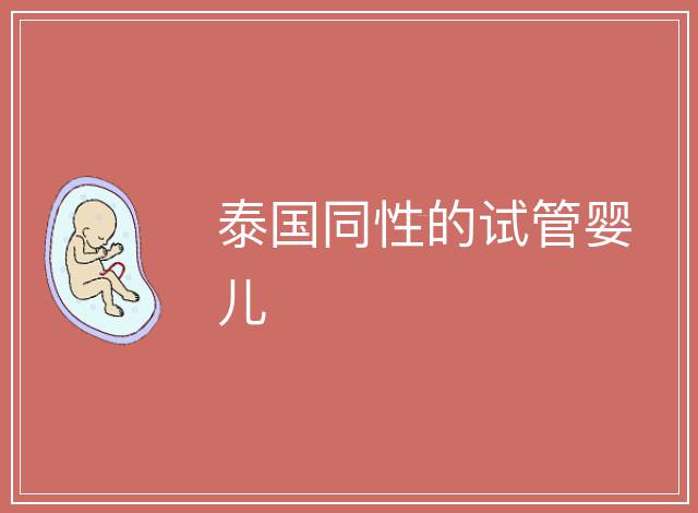 泰國(guó)同性的試管嬰兒