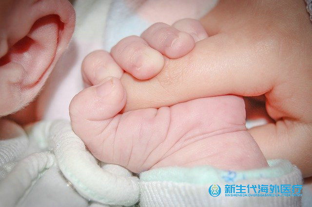 泰國好的試管中介有哪些 泰國好的試管中介有哪些
