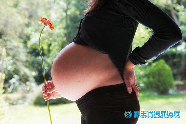 泰國(guó)試管項(xiàng)目有多少 泰國(guó)試管項(xiàng)目有多少