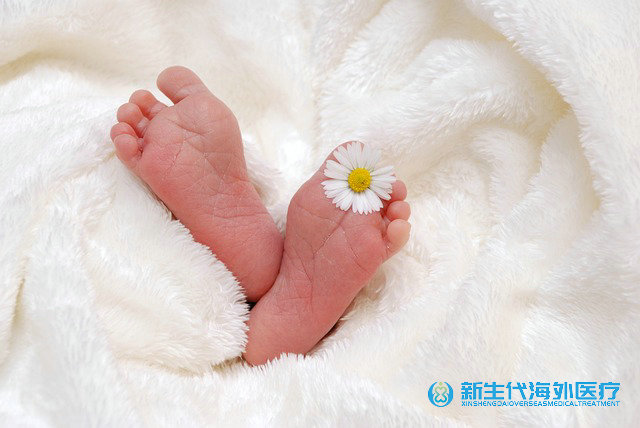 泰國需要去哪兒做袖珍人試管嬰兒