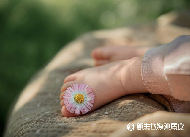 泰國乙肝試管胚胎解凍