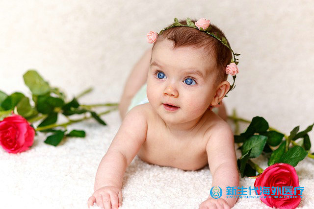 泰國要花多少可以做拉拉試管嬰兒