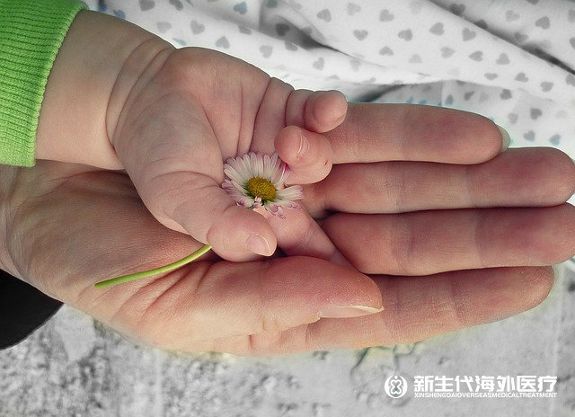 泰國第四代試管嬰兒培育方法