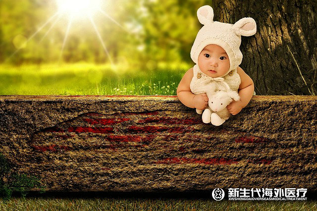 泰國試管嬰兒大約費用多少