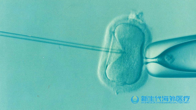 泰國(guó)去哪兒做男同試管嬰兒